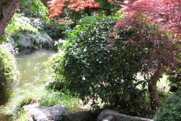 Water features are also always present in a Japanese garden