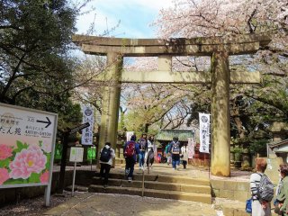 ทางเข้าศาลเจ้าโทะโชะกุ (Toshogu) แห่งสวนอุเอะโนะ 