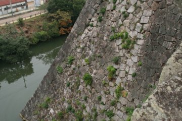 The 30m high stone walls of Iga Ueno Castle are the highest in Japan.