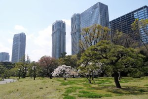 ภาพอันงดงามของสวนสวยกับตึกระฟ้าอันทันสมัย 'กลุ่มตึกระฟ้าชิโอะโดะเมะ' 