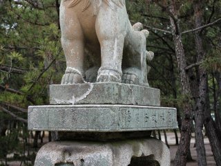 Tsunashiki Tenmangu Shrine has stone lions...