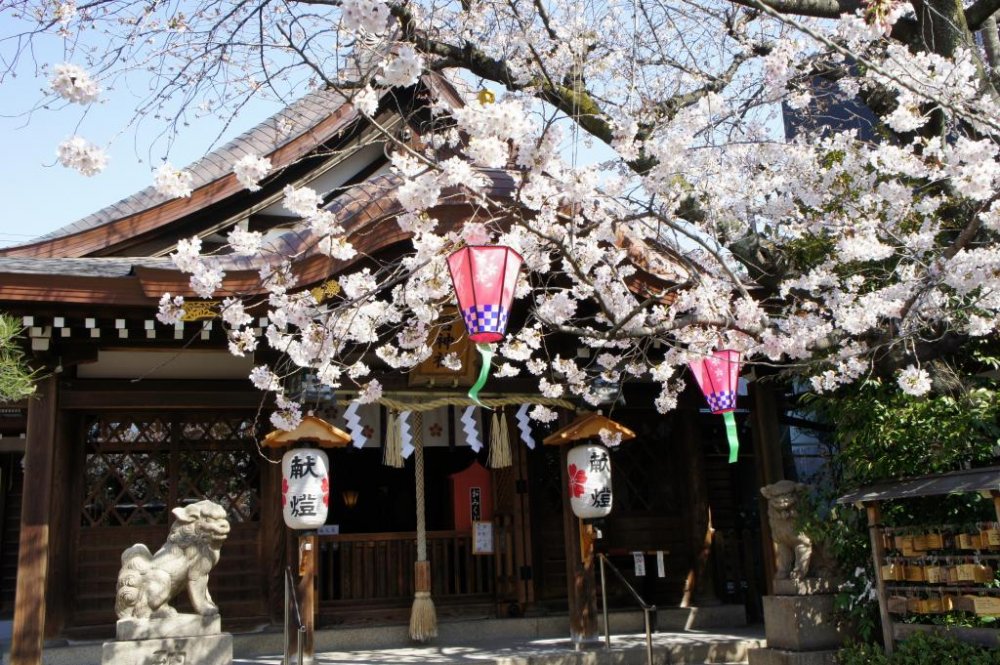 Ichinomiya Shrine