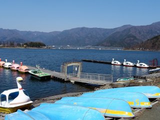 เรือหงส์จอดรอนักท่องเที่ยวที่ทะเลสาบคะวะกุชิโกะ (Kawaguchiko)