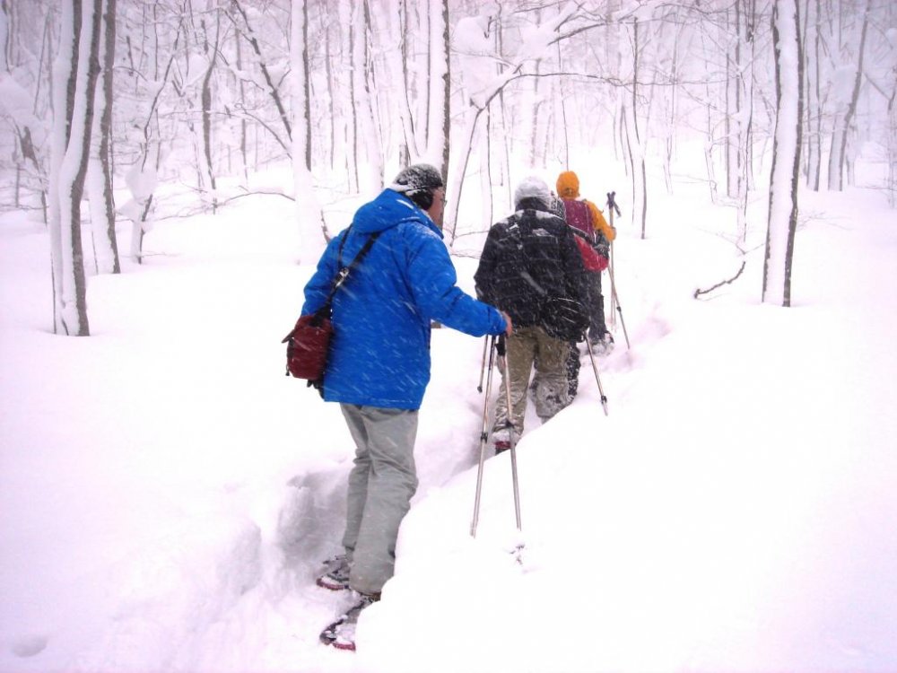 Vào đầu chuyến đi bộ trên tuyết