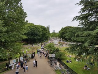 สวนโยะโยะกิ เปรียบดังสวนลุมพินีของญี่ปุ่น 