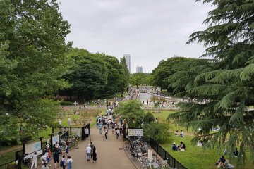 สวนโยะโยะกิ เปรียบดังสวนลุมพินีของญี่ปุ่น 