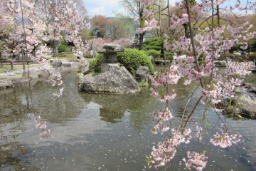Сад вокруг замка Такесимы