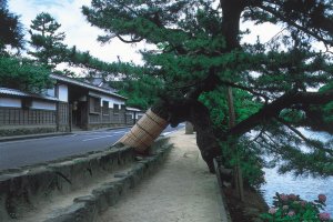 Les r&eacute;sidences des samoura&iuml;s dans la ville de Matsue