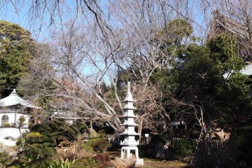The lantern and pagoda in the garden by the main hall