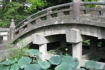 Каменный мост и заросли лотоса