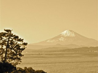 冬の江ノ島から見える素晴らしい富士山
