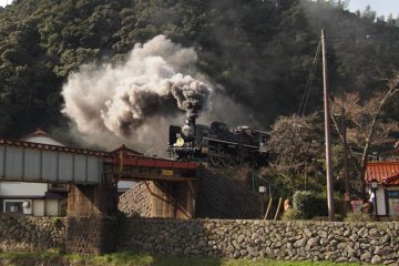Thrill to the sight of a steam locomotive
