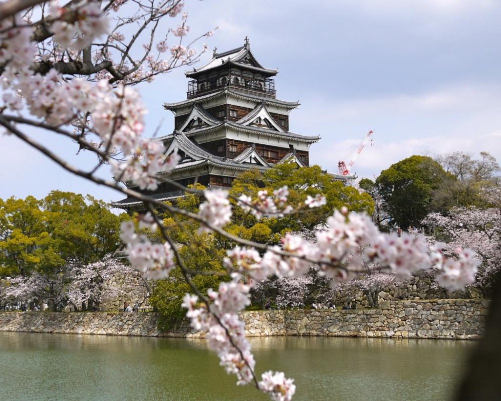 Hiroshima-jo (kastil Hiroshima) terlihat dikelilingi oleh mekarnya sakura, terlihat dari seberang parit.