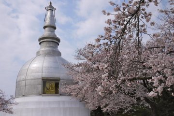 The peace pagoda is said to house some of Buddha's ashes