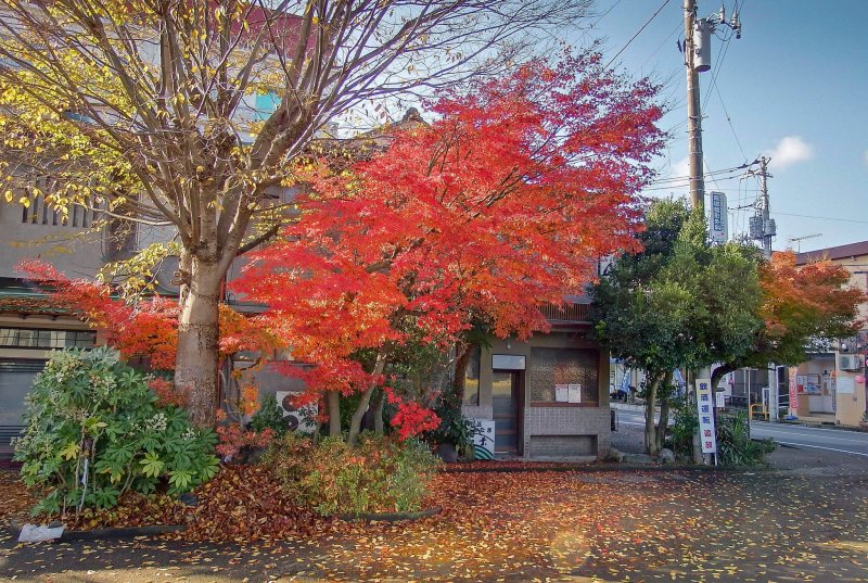  As you exit this station the autumn colors will immediately greet you