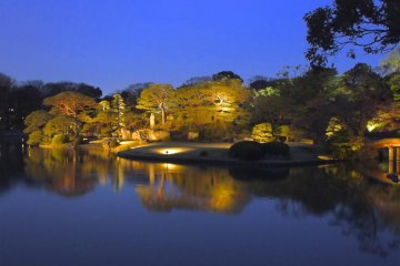 Crowds throng the shidare zakura tree in the daytime; in the evening the pond is unusually quiet