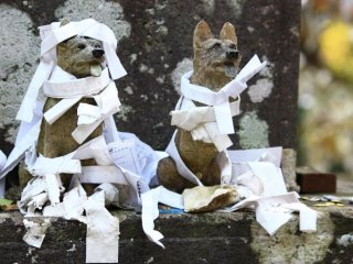 Two stone dogs sit patiently, covered in paper slips for good fortune.