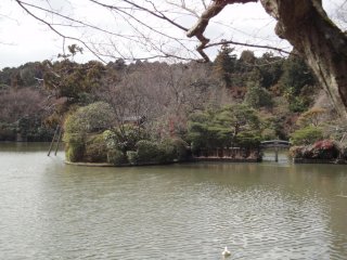 Pond at Ryoan-ji