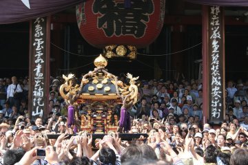เทศกาล Sanja Matsuri ที่อะสะคุสะ
