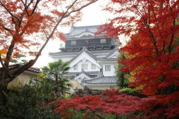Okazaki Castle is surrounded by a beautiful garden and moat, making it a picturesque location