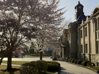 This is the Bunshokan in Yamagata City in spring. This building housed the old prefectural office