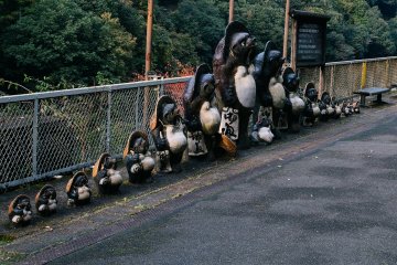 Tanuki, a family of raccoon badgers, standing in line at the station