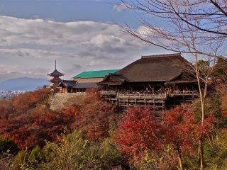 Autumn colors at the famous Kiyomizu-dera