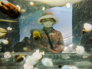 A woman wearing a mask on the other side of a jellyfish tank in Osaka Aquarium Kaiyukan.