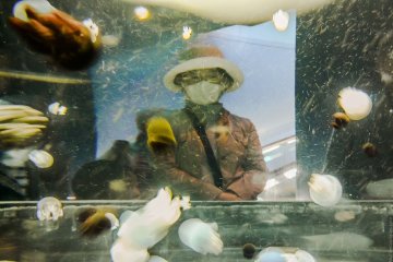 A woman wearing a mask on the other side of a jellyfish tank in Osaka Aquarium Kaiyukan.