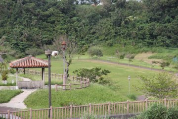 <p>The walkways, covered seating areas, grassy fields and the grounds are pretty and well maintained</p>