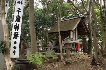 One of 6 shrines on power spot, Takeshima Island