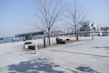 A view of the bay, and Osanbashi Pier in the middle