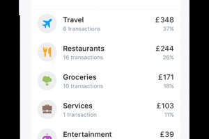 Ease Your Spending Woes with Revolut