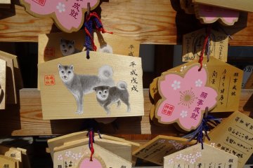 แผ่นไม้เอะมะสำหรับปีใหม่ 2018 ซึ่งเป็นปีสุนัข และสำหรับฤดูดอกซากุระที่กำลังจะมาถึง