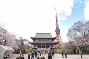 Top 5 Things to Do in Shiba