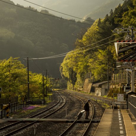 Discover Shikoku in Six Days