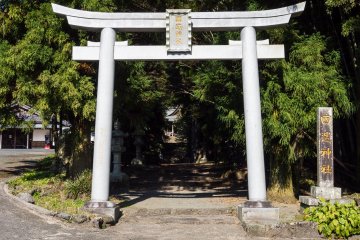 The torii gate leads into the grove
