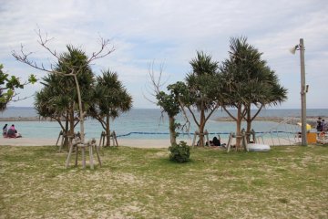 <p>Camping along the grass above the beach is available by reservation in advance only</p>