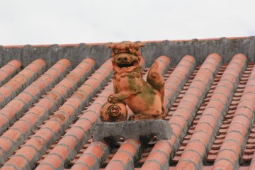 Rooftops usually are adorned with one shisa dog made of red clay to match the Ryukyuan-style red roofing tiles