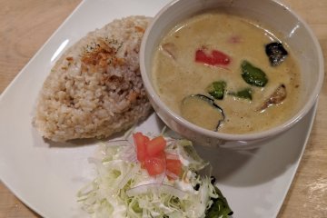 The Green curry - delicious!