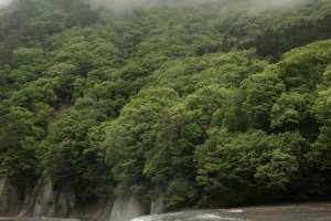 Fukiware Falls on a rainy day