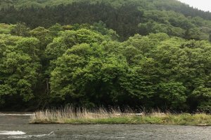 Fukiware Falls in 'green season'