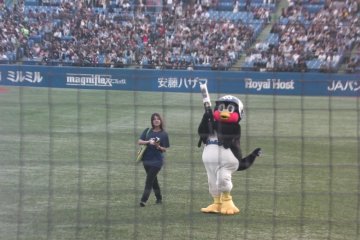 <p>Tsubakuro the mascot firing up the T-shirt cannon</p>