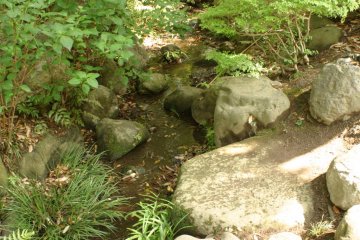 Finding zen in nature: Contemplate life next to rocks, leaves and a trickle of water.