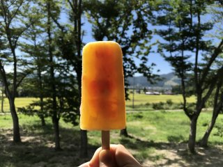 The orange sherbet ice bar was the perfect warm day treat!