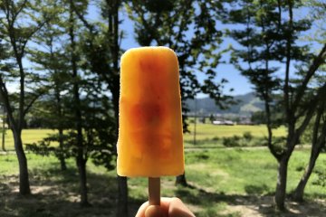 The orange sherbet ice bar was the perfect warm day treat!