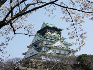 오사카성 천수각과 벚꽃