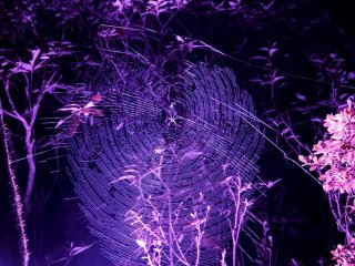 Những con nhện cũng được tái hiện trong màn chiếu sáng