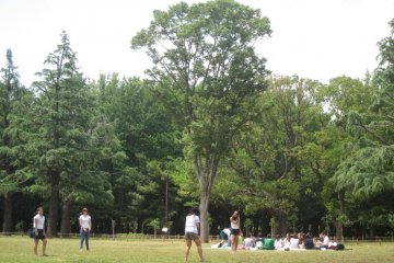 Catch friends and families playing games such as frisbee, soccer or even people dancing in the park