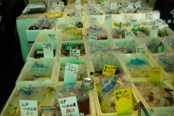 An example of the amazing pickles found at Tsukiji